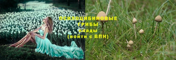ALPHA-PVP Заводоуковск