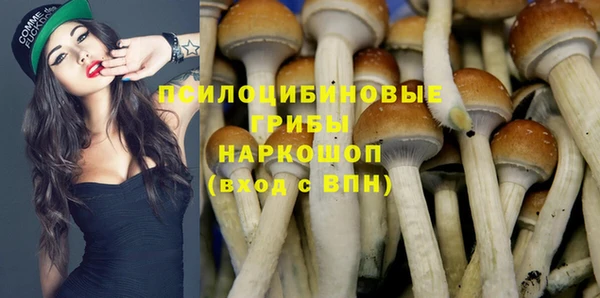 ALPHA-PVP Заводоуковск