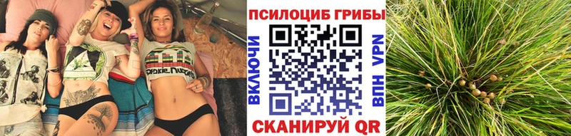 Галлюциногенные грибы Psilocybe  Октябрьский 